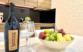 Croatia_Zagreb Apartment